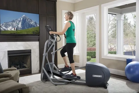 Buyer of Life fitness cross trainer Gym Equipment in Damic Hills #2